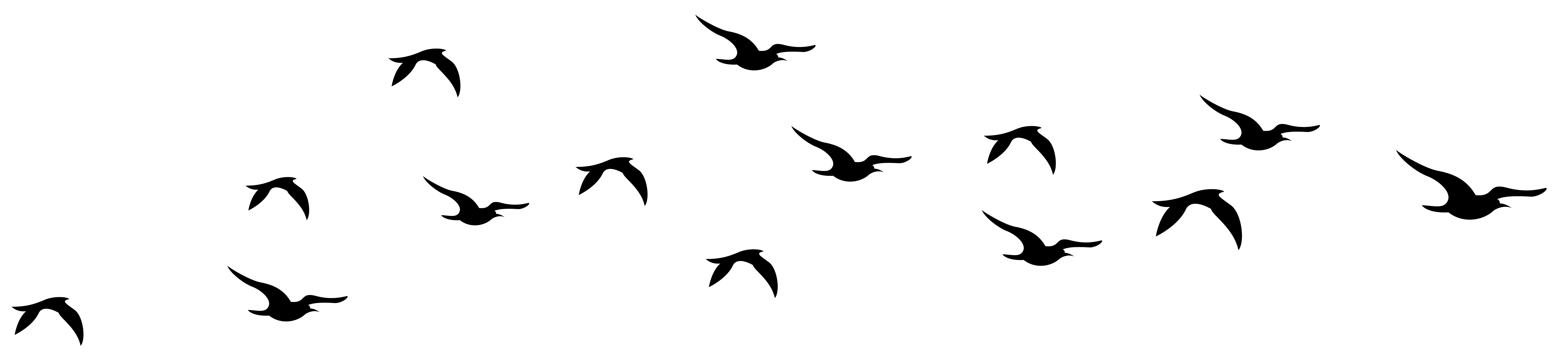 7919x1829 Birdcage Silhouette Png