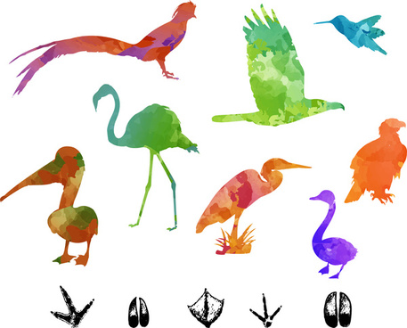 457x368 Colorful Birds Flying Free Vector Download (24,913 Free Vector