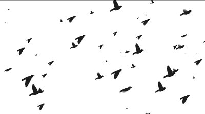 400x224 Flock Of Birds Flying Clipart