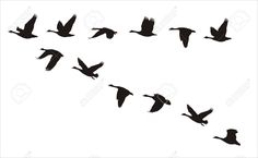 236x145 971 Birds Flying Silhouettes.jpg Bali Stencils