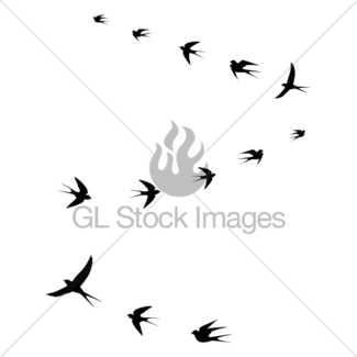 325x325 Silhouette Flocks Of Birds, Flying Birds. Flying Duck Gl Stock