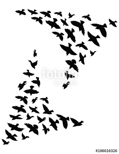 386x500 Silhouette Of A Flock Of Birds. Black Contours Of Flying Birds