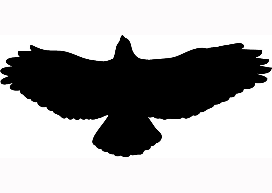 945x670 Bird Clipart Black And White Silhouette