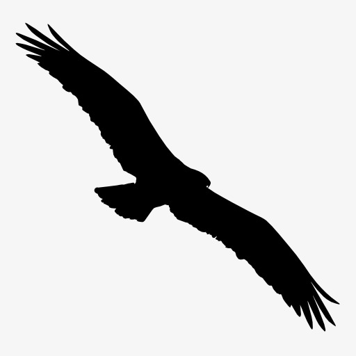 512x512 Eagle Silhouette, Bird, Flight, Animal Png Image And Clipart