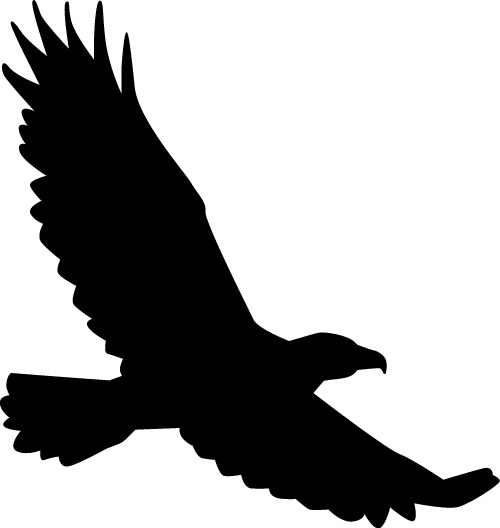 500x528 Flying Eagle Silhouette Free Vector Download (6,793 Free Vector