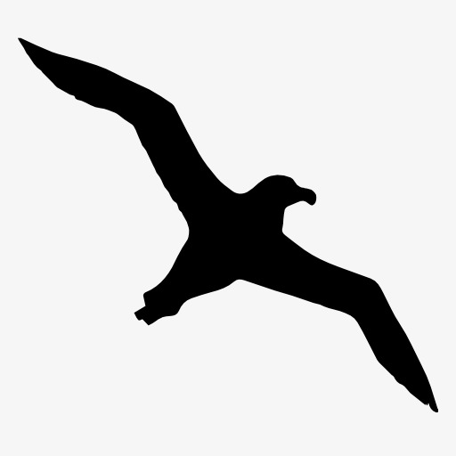 512x512 Seagull Silhouette, Bird, Flight, Animal Png Image And Clipart