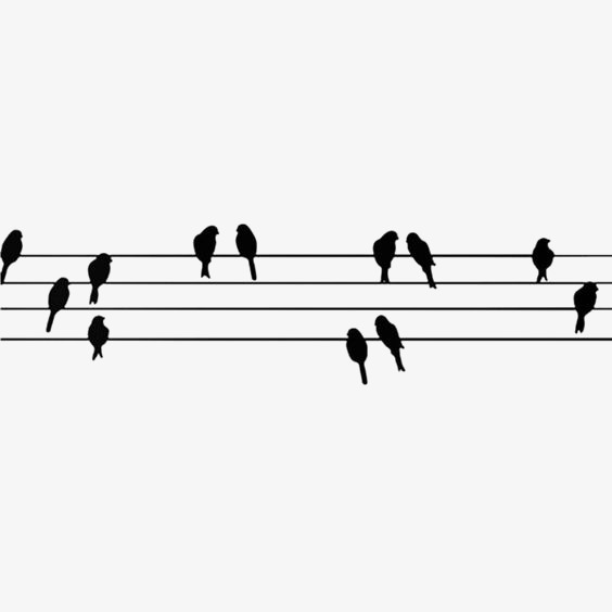 564x564 Birds Silhouette, Asuka, Shading, Background Png And Vector