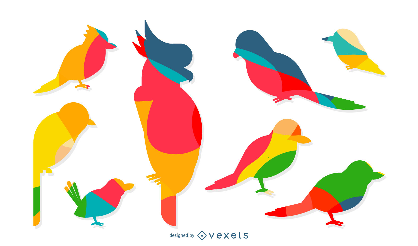 1700x1000 Birds Vector Amp Graphics To Download