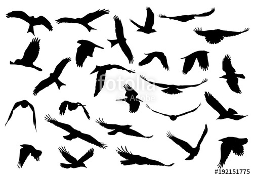 500x350 Set Of Realistic Vector Illustrations Of Silhouettes Of Flying