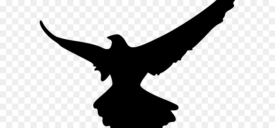 900x420 Silhouette Bird Falcon Clip Art