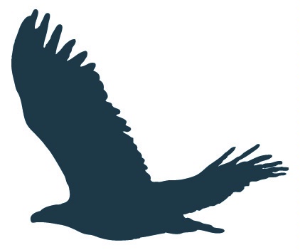 422x351 Silhouettes Of Birds Of Prey In Flight