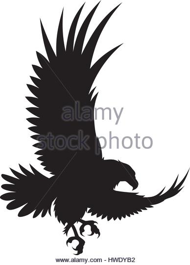 Birds Of Prey Silhouette at GetDrawings | Free download