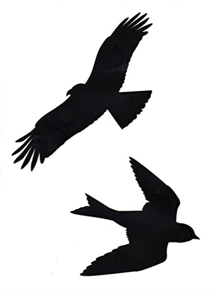 430x606 Bird Silhouette Window Stickers Amazon.co.uk Kitchen Amp Home