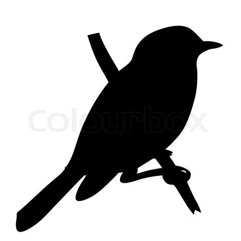 480x480 Bird Outline Printable Stock Vector