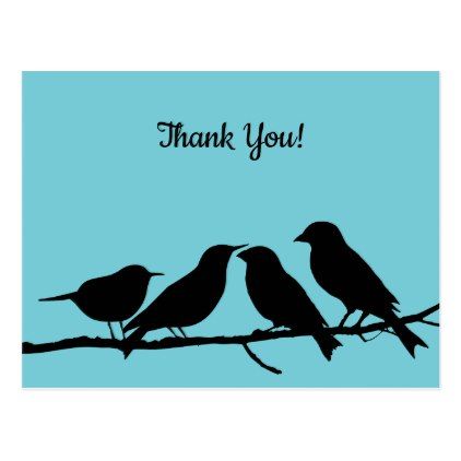 422x422 Birds On A Branch Silhouette Thank You Postcard