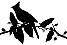 225x150 Bird On Branch Silhouette