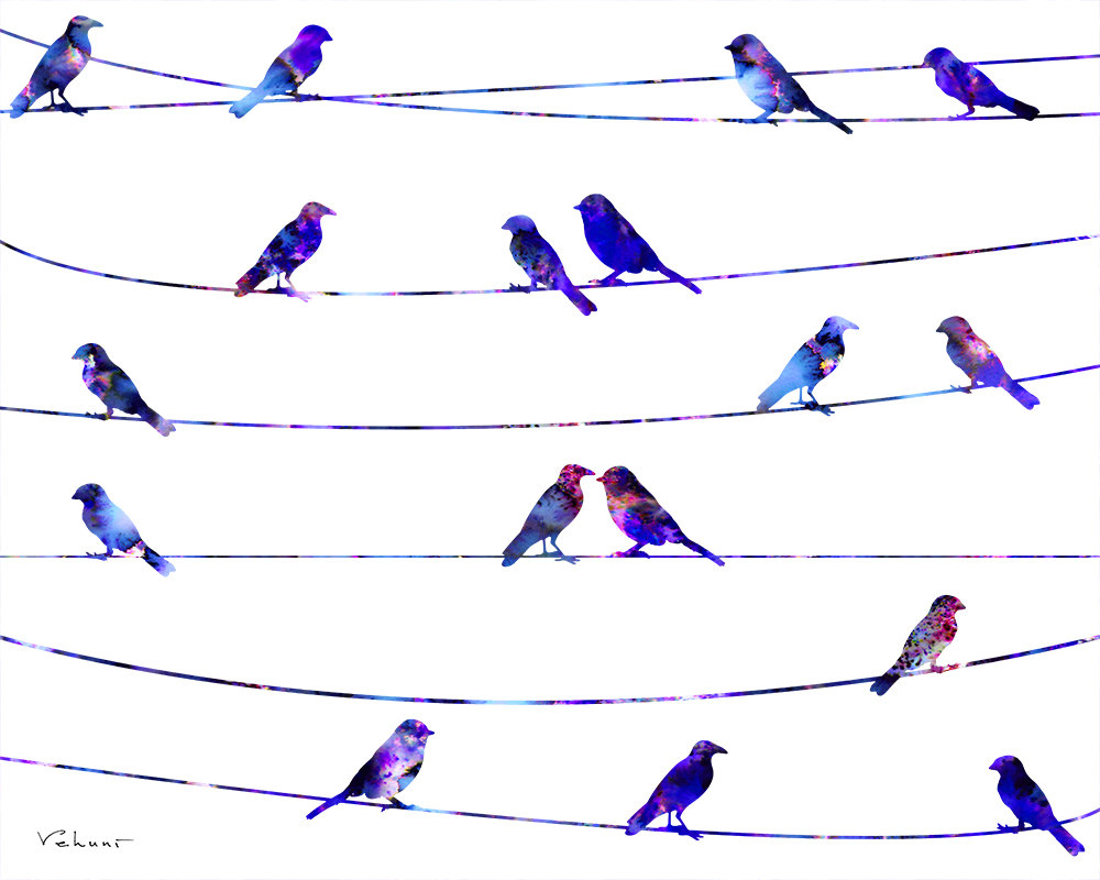1000x800 Generous Bird On A Wire Silhouette Pictures Inspiration