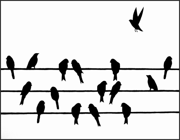 576x450 Silhouette Of Birds On Wire Hsnsd Beautiful Bird Silhouette