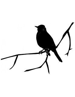 248x320 Pack Of 3 5 Birds On Wire Stencils Made From 4 Ply Mat
