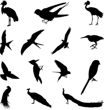 348x368 Bird Silhouette Free Vector Download (7,622 Free Vector)