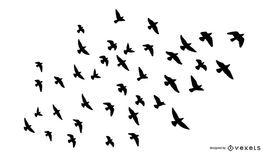 900x529 Flock Of Birds Silhouette Set