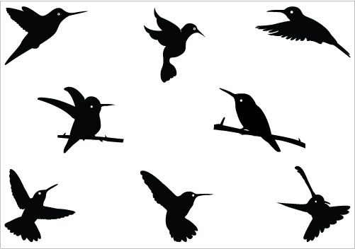 501x352 Hummingbird Silhouette Vector Download Bird Vectors Silhouette