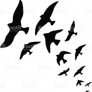 300x300 Background With Flying Birds Silhouettes Vector Clipart Createmepink