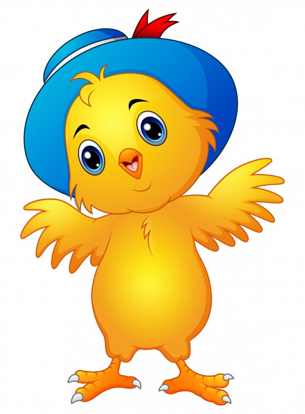 626x849 Chicken Vectors, Photos And Psd Files Free Download