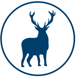 250x250 Houston South Macgregor