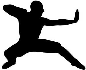 300x242 Limited Time Offer Jade Mountain Martial Arts Katy