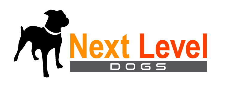 755x307 Bold, Serious Logo Design For Online Bjj Project By Tsedesign