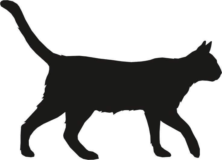 736x531 Cat Outlines Stock Images Royalty Free Images Vectors Black Cat