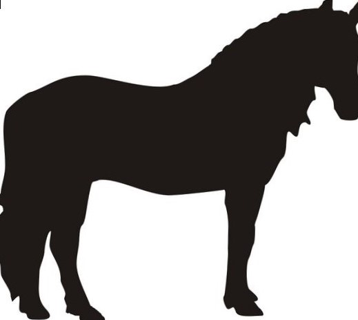 519x463 Horse Face Silhouette Photo