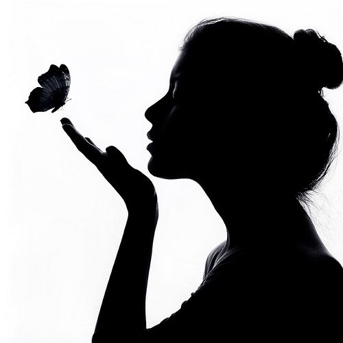 500x500 222 Best Silhouette Photography Images On Silhouette