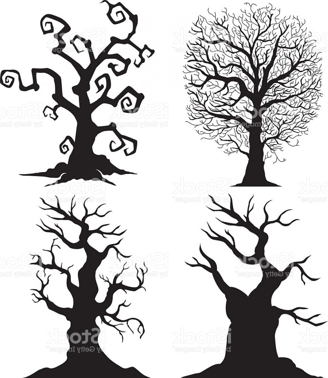 Black And White Tree Silhouette at GetDrawings | Free download