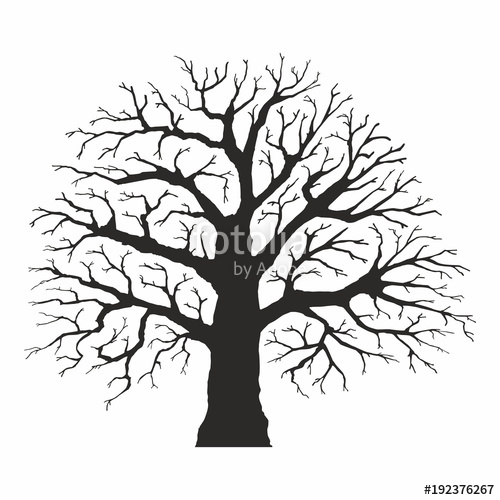 500x500 Tree Silhouette On White Background Stock Image And Royalty Free