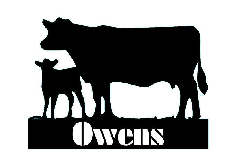 833x580 Black Angus Cow And Calf Cake Toppersign And Keepsake