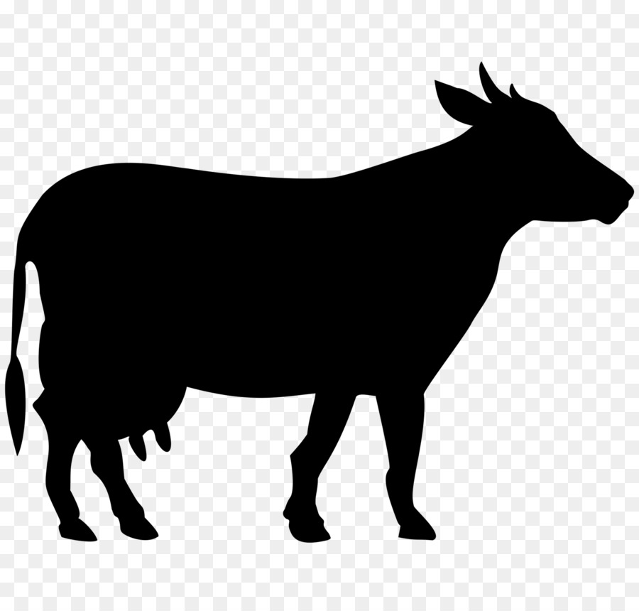 900x860 Welsh Black Cattle White Park Cattle Clip Art