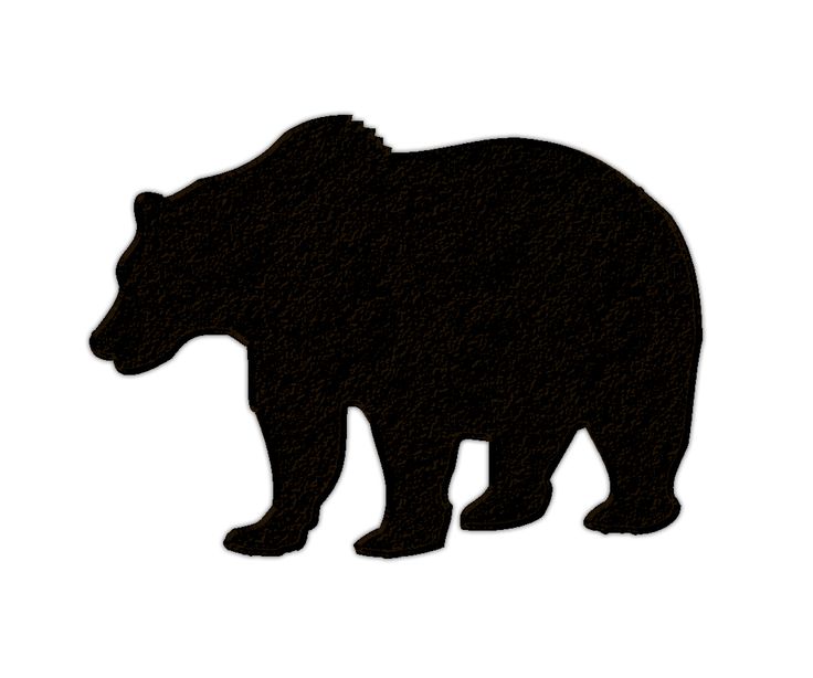 736x614 Black Bear Clipart Woods