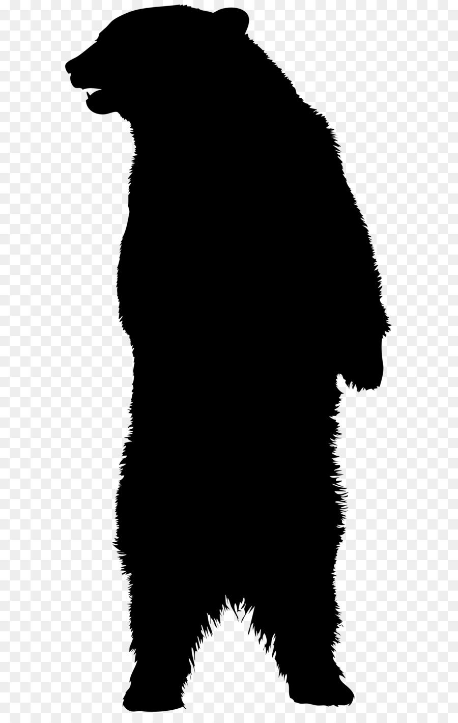 900x1420 American Black Bear Brown Bear Silhouette