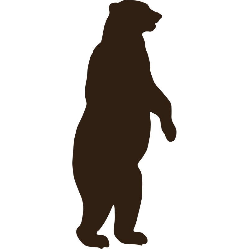 800x800 Grizzly Bear Clipart Standing Bear
