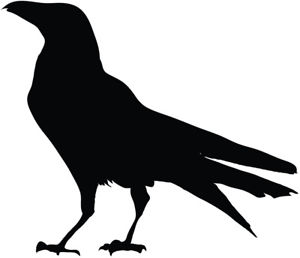 300x258 Black Bird Silhouette Vinyl Decal Sticker Raven Crow Birds Ebay
