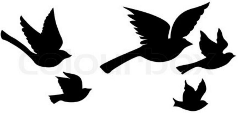 800x381 Fly Bird Fly Template Birds Template, Bird