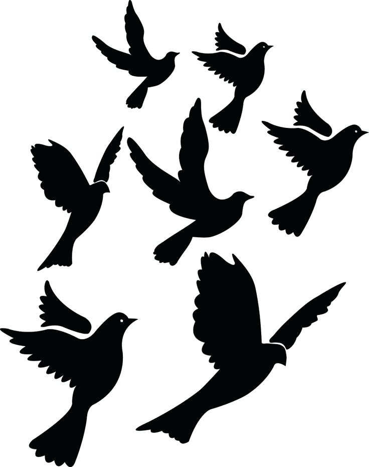 736x931 Flying Bird Silhouette Vector Download Free Vector Art Stock