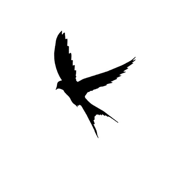 570x570 Sparrow Silhouette Clipart