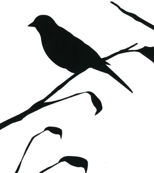 520x583 Black And White Bird Wallpapers Group