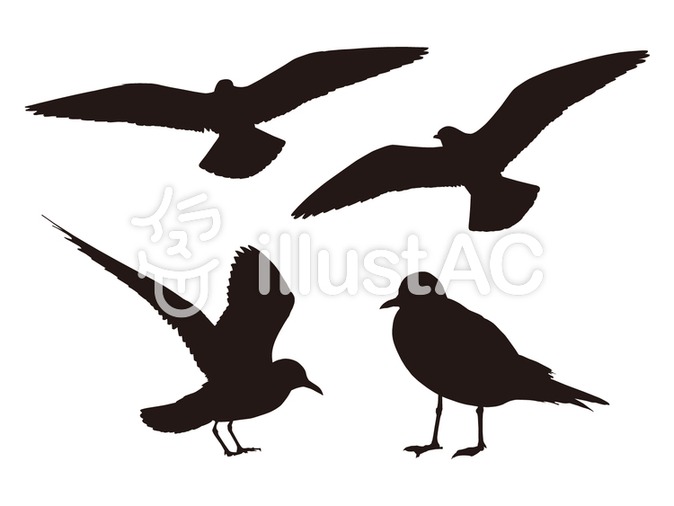 750x563 Free Cliparts Black, Silhouette, Bird