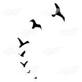 160x160 Abeka Clip Art Black Birds Silhouettes