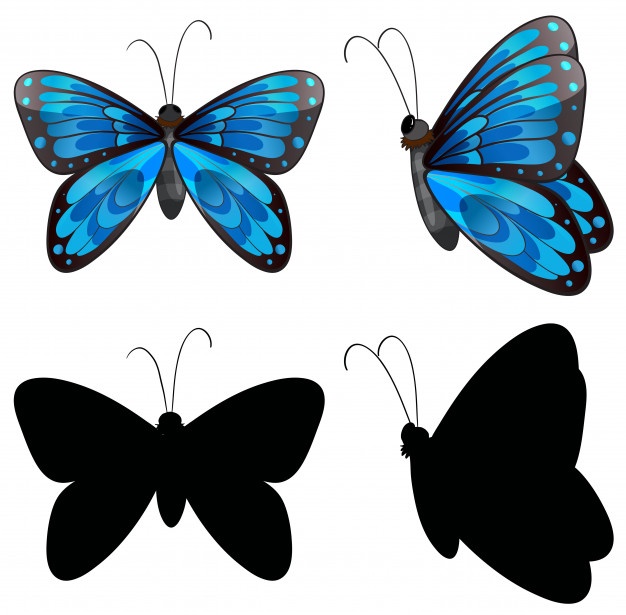 626x615 Butterfly Black Vectors, Photos And Psd Files Free Download