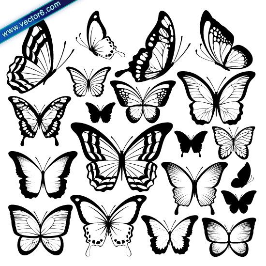 550x549 Vector Buom Buom Dep (2).jpg Hoa Van Khung Tatto